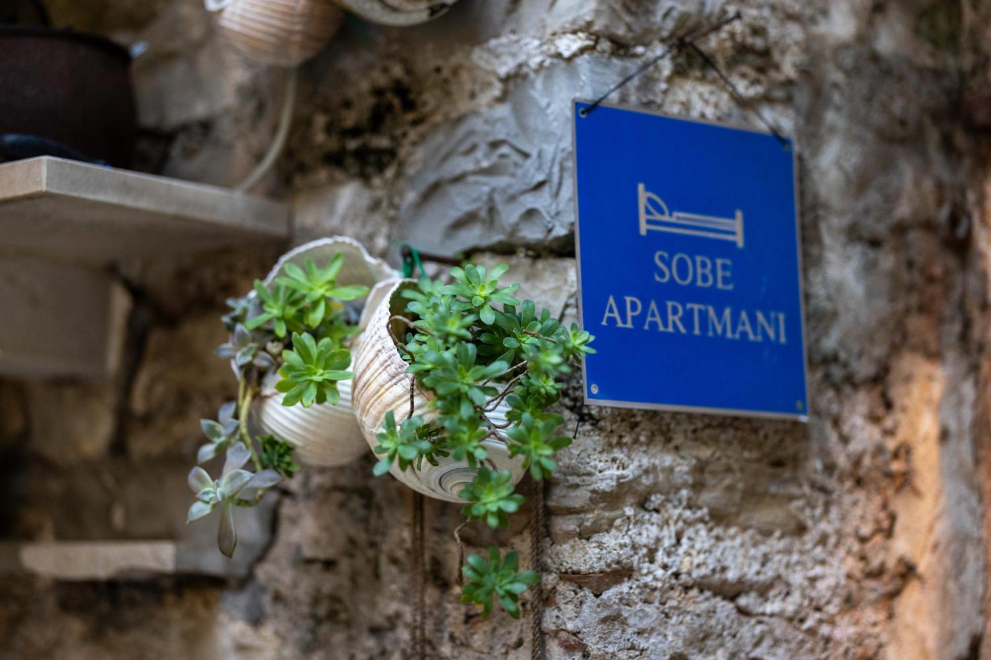 Apartments Bose ماكارسكا المظهر الخارجي الصورة